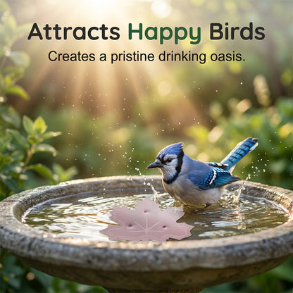 ⏳LAST DAY SALE ONLY $11.18!!🌿Universal Fit Bird Bath Cleaner🐦💦Wildlife-Safe Leaf Purifier for Fresh, Clear Water in Any Garden Basin | Rust-Resistant & Low Maintenance🛡️✨